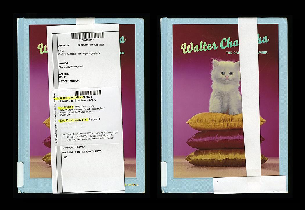 Walter Chandoha: The Cat Photographer, Received and Returned