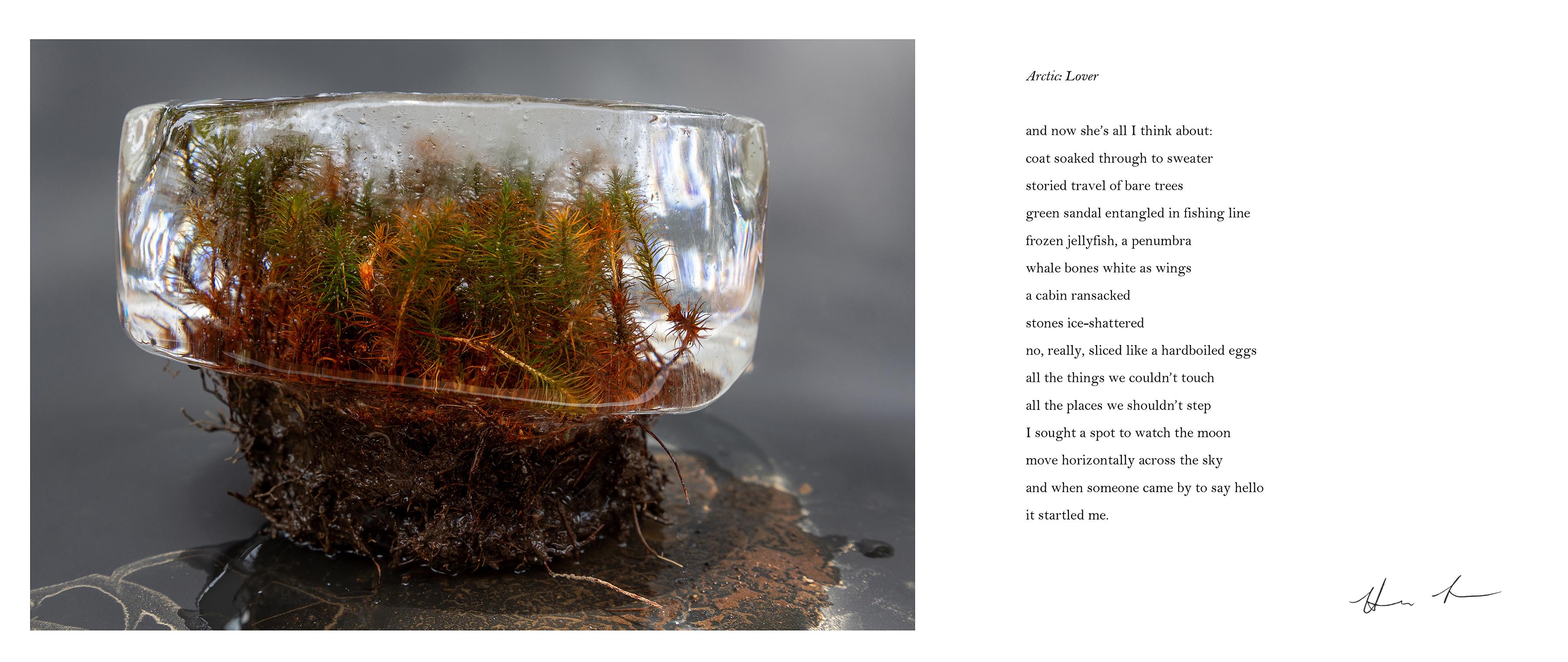 Language Erratics  (photo + poem by Hannah Larrabee)