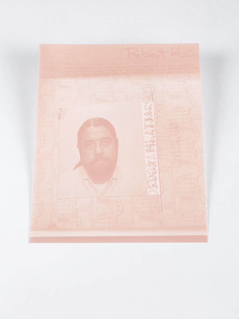 Vanishing Photograph: Last Passport, 2017 - 2018
