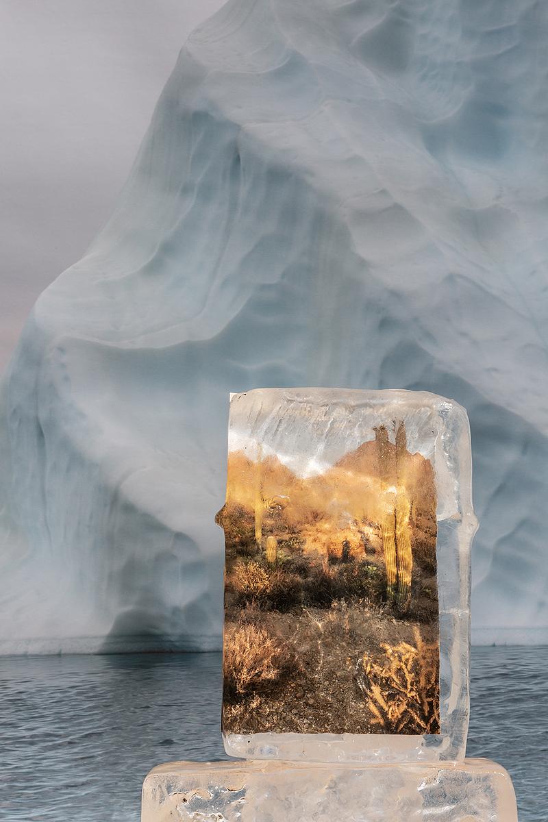 After "What if the Arctic Came Home with Me":  what if I know I can't go back.
