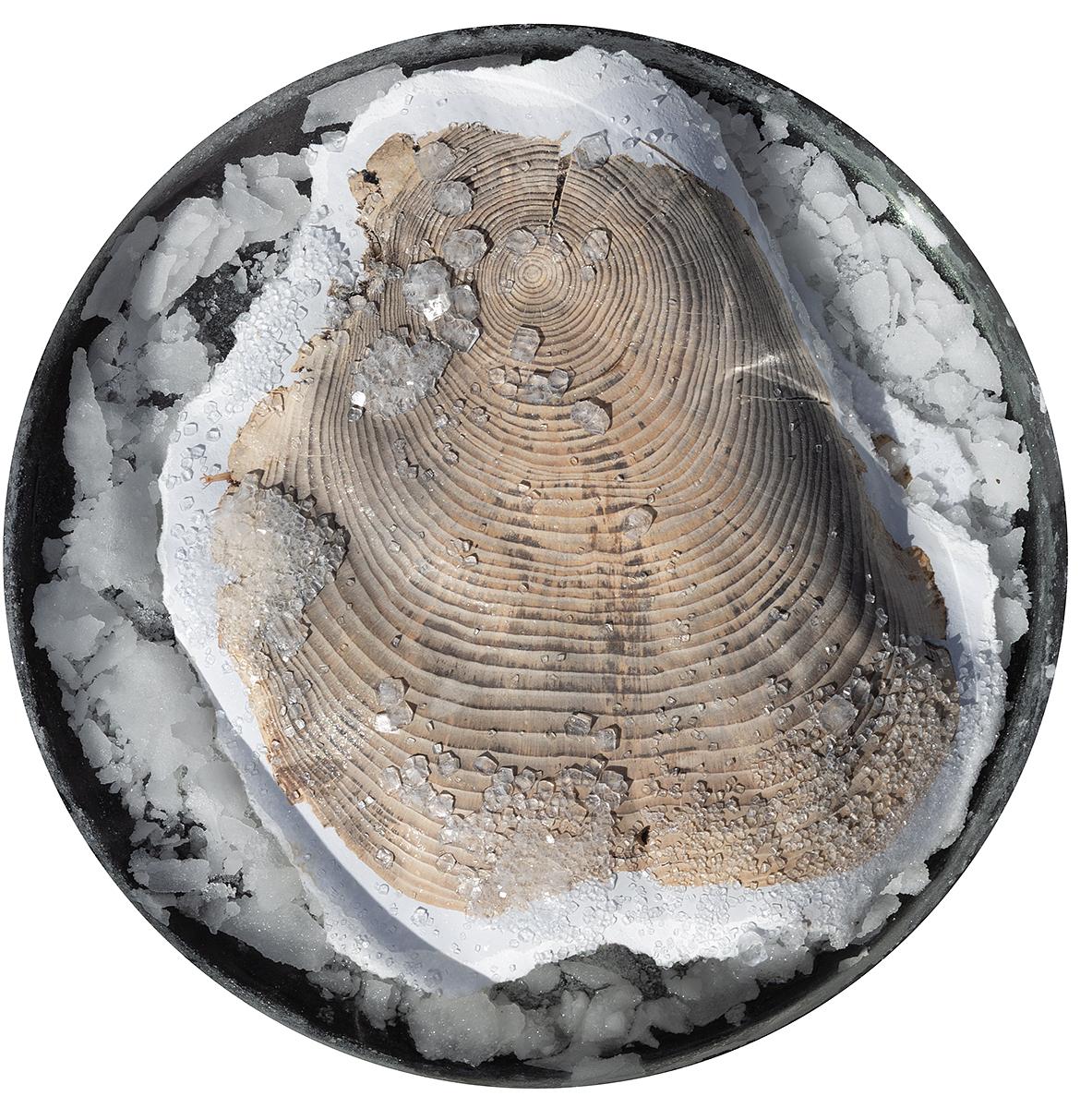 Jacinda Russell & Brent Cole, "When 'The Earth Swallowed the Sea' Meets a Subsidence Land Drop," 2025