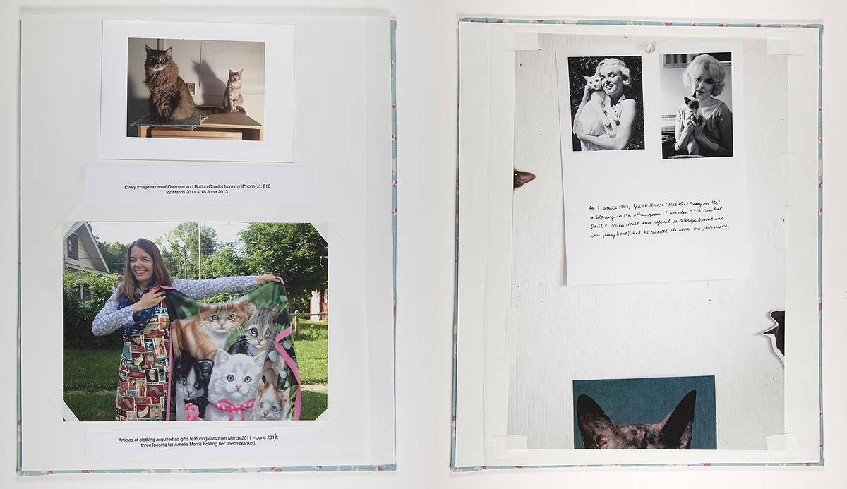 Contemporary Cat Scrapbook Addendum Detail Contemporary Cat Scrapbook Addendum Detail