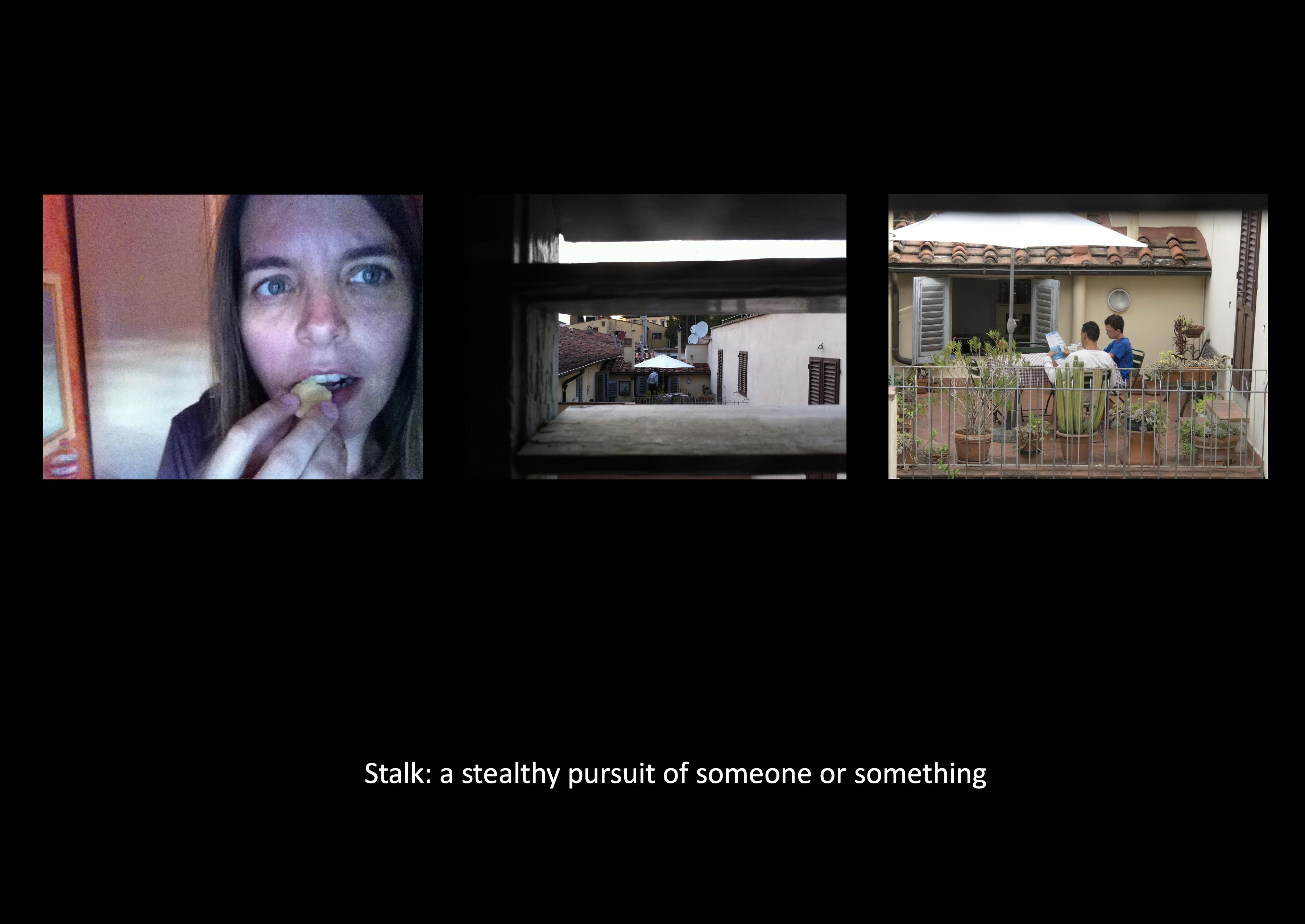 Stalking Artists: In Pursuit of Home, 2011 - 2017
