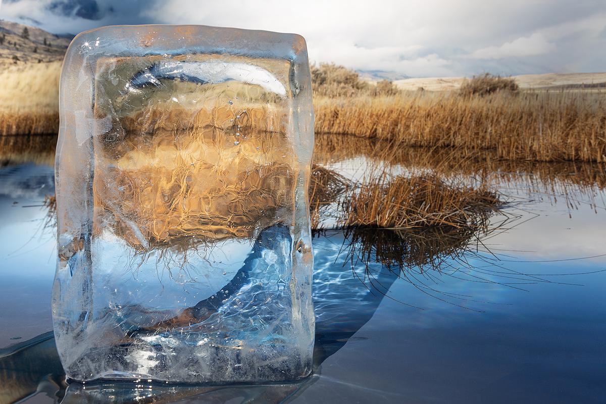After "Arctic: Scenic Vista": your words came / to my doorstep / just as my doorstep / appeared.