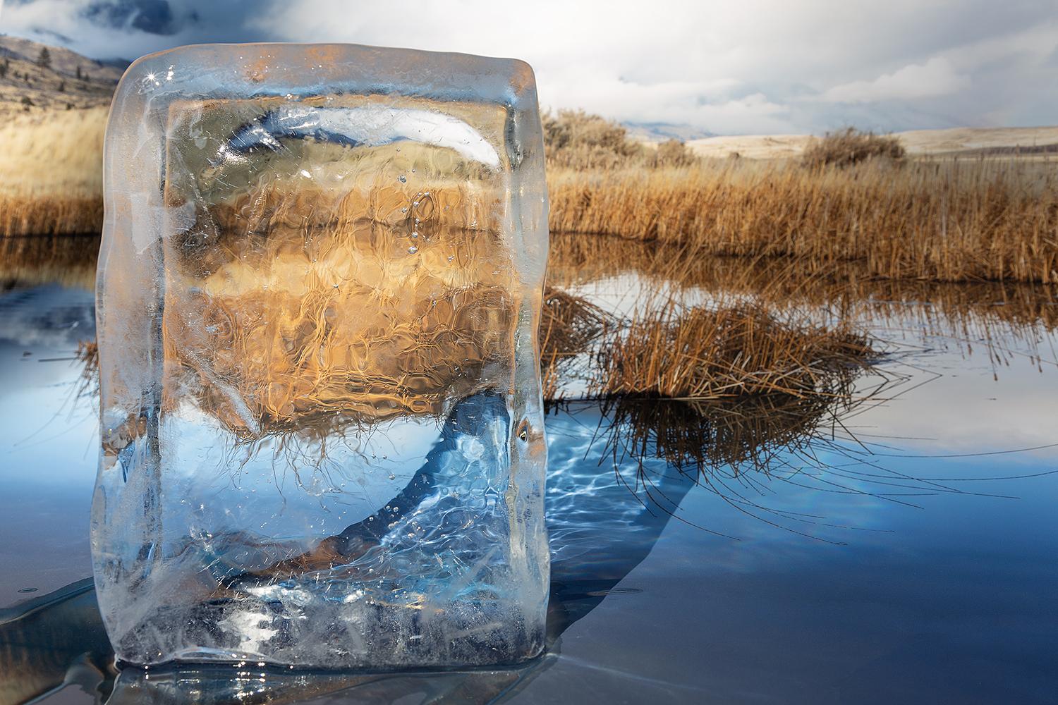 After "Arctic: Scenic Vista": your words came / to my doorstep / just as my doorstep / appeared.