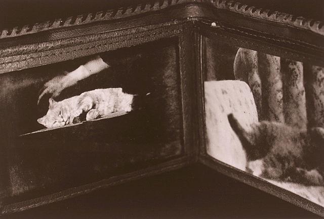Frozen in time, 2003 / 2005