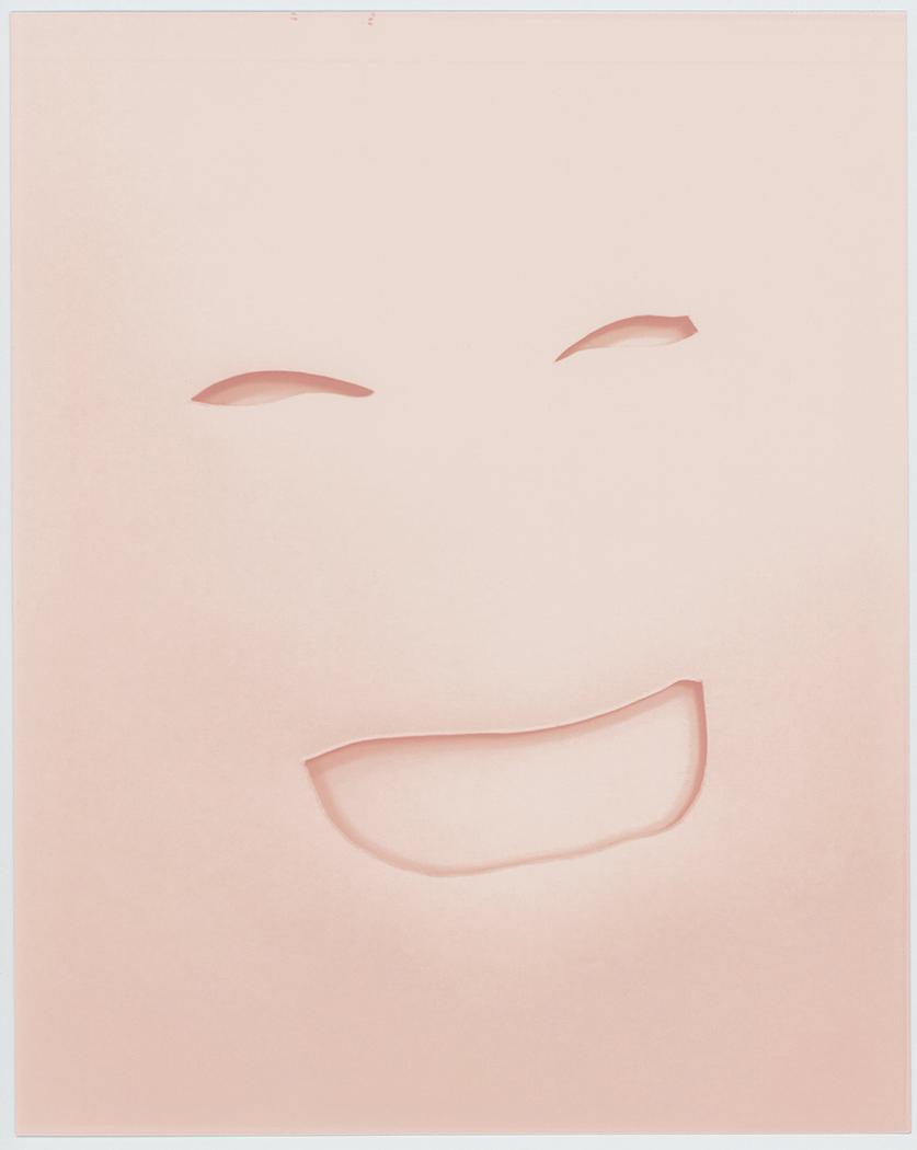 Vanishing Photograph: Face, 2017 - 2018
