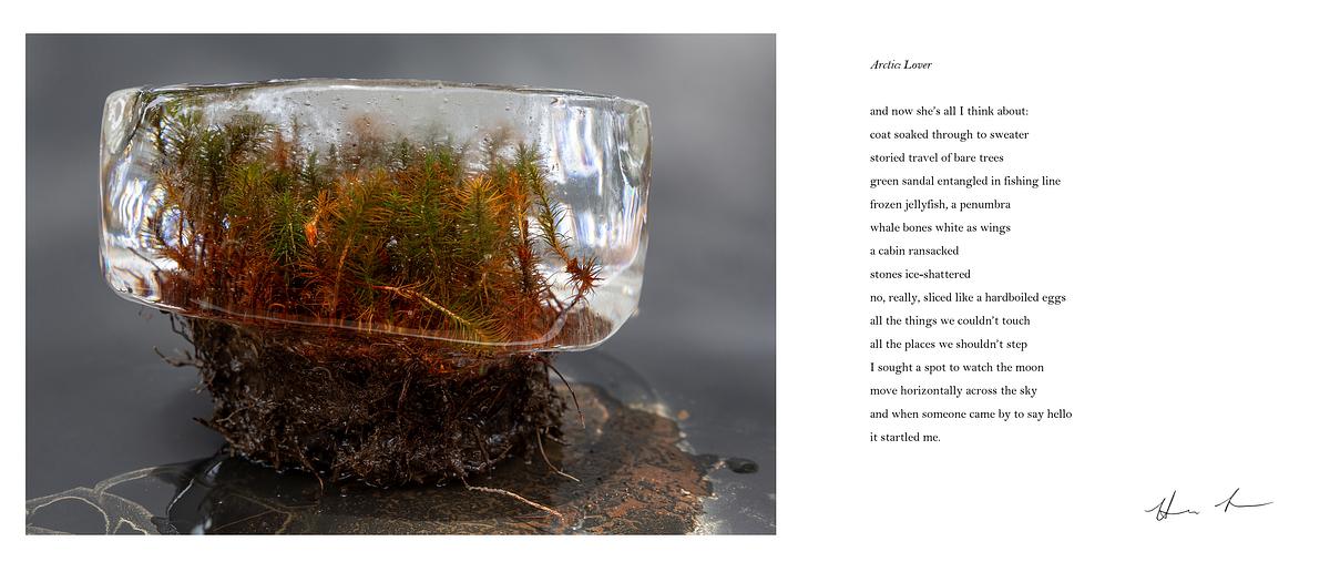 Language Erratics  (photo + poem by Hannah Larrabee)