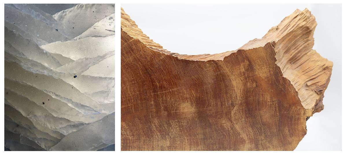Jacinda Russell, "6.7 Million Years: Allan Hills Ice Core, Antarctica & 8000-6000 BCE: Methuselah Walk Tree Line," 2025 - 2026 Jacinda Russell, "6.7 Million Years: Allan Hills Ice Core, Antarctica & 8000-6000 BCE: Methuselah Walk Tree Line," 2025 - 2026