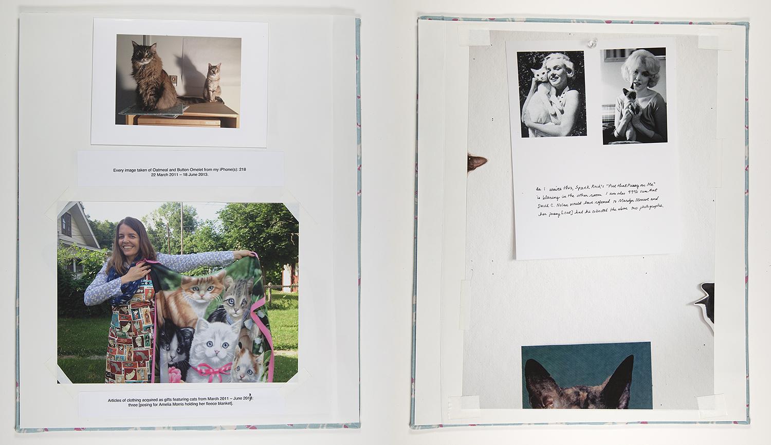 Contemporary Cat Scrapbook Addendum Detail