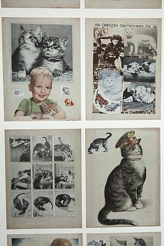 Arline Conradt & the Cat Scrapbook Mock-up Installation Detail Arline Conradt & the Cat Scrapbook Mock-up Installation Detail
